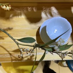 -今日陶艺(富力广场店)