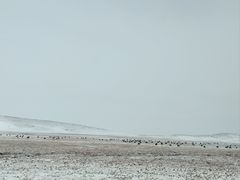 -花湖生态旅游区