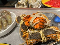 -一绪に寿喜烧(虹悦城店)