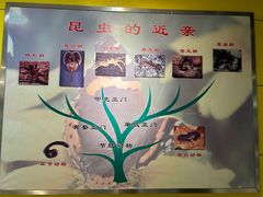 -上海昆虫博物馆