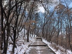 -帽儿山国家森林公园