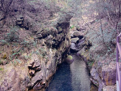 -大奇山国家森林公园