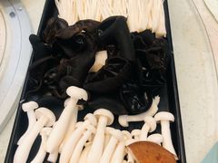 菌类拼盘-阳坊胜利涮羊肉(阳坊老店)