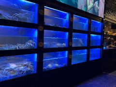 -海上明月海鲜火锅 鲜切牛肉