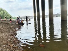 -长白岛森林公园