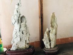 -福建土楼（华安）旅游区•大地土楼群