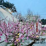 龙泉山吸氧宝藏地 | 超嗨一站式玩乐餐吧🥳