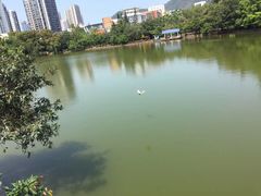 -四海公园(南山区)