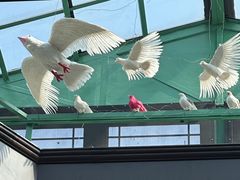 -小凤仙公馆酒店