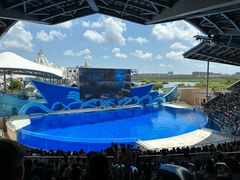 -上海海昌海洋公园