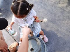 -前小桔亲子创意农场·草莓采摘·露营烧烤