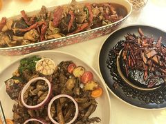 -龟兹KUCINA·新疆菜(前滩L+PLAZA店)