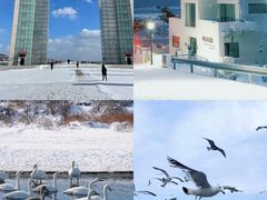 -金海滩海水浴场