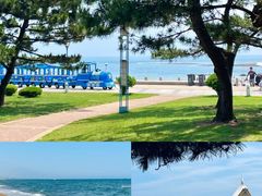 -巧克力渔家.小船海鲜家常菜(三浴场店)
