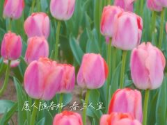 -陕西省西安植物园