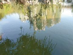 -星海公园(番禺区)