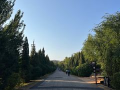 -乌素图国家森林公园