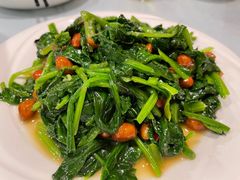 -听涛雅苑百味饺子老家菜馆