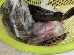 -拉威海鲜市场
