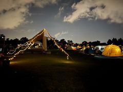 -春花秋色城市公园