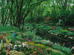 -上海共青森林公园