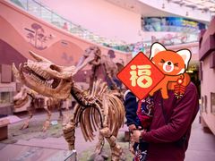 -陕西自然博物馆