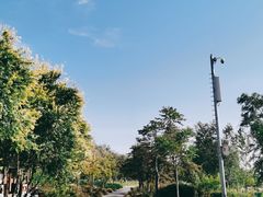 -绿堤公园