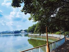 -仙湖旅游度假区