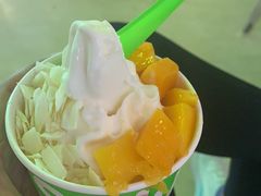 -Salud撒露欧洲冻酸奶(北苑上品店)