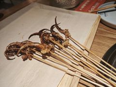 -奉天宴遇烧烤·冒锅