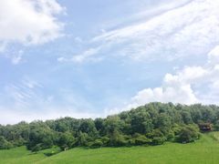 -关山草原