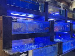 -丰鲤楼•闽南茶楼(仟禧汇店)