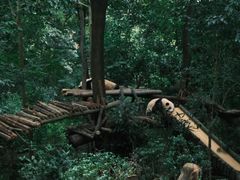 -成都大熊猫繁育研究基地