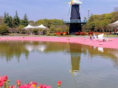 -上海鲜花港