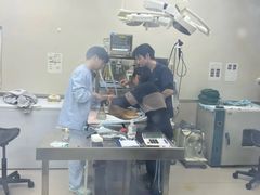 -爱妮康宠物医院·干细胞免疫细胞·肿瘤·心脏(张江店)