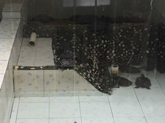 -广东茂名森林公园