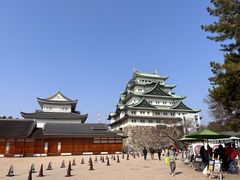 -名古屋城