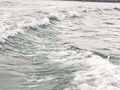 -惠州金海湾嘉华度假酒店