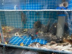 -宾朋海鲜饭庄(兴海路店)