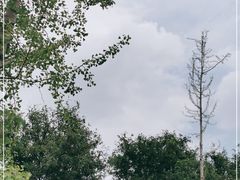 -咸阳湖景区