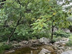 -黑龙潭风景区