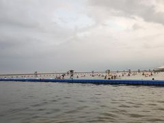 -碧海金沙