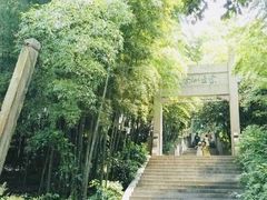 -紫金山天文台