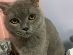 -沐沐家宠物(成寿寺店)