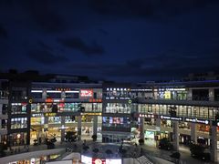 -浦江城市生活广场(江月路店)