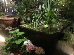 -肴约·花园式餐厅(湖里店)