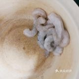 鸡蛋两枚，小葱，虾仁若干，盐，料酒，水淀粉等