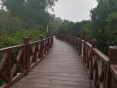 -大亚湾红树林城市湿地公园