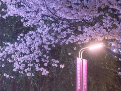 -浙江大学(紫金港校区)