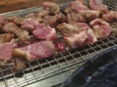 -柿子树炭烤羊腿(金台路店)